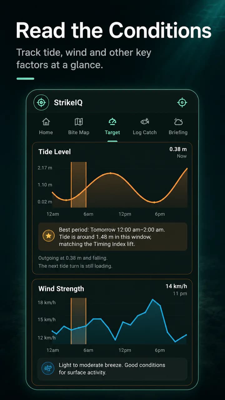 StrikeIQ conditions and tide view
